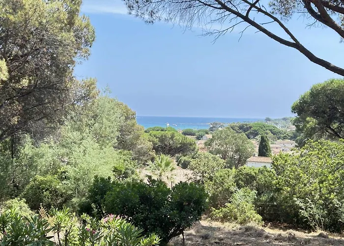 Holiday home Mediterraneenne Proche Et Centre A - Fr-1-226-562 *