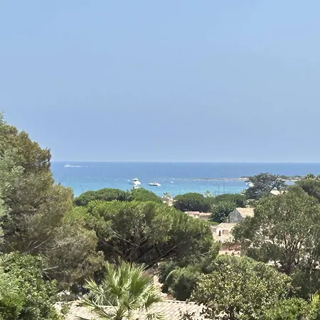 Mediterraneenne Proche Et Centre A - Fr-1-226-562 * Σαιντ-Μαξίμ