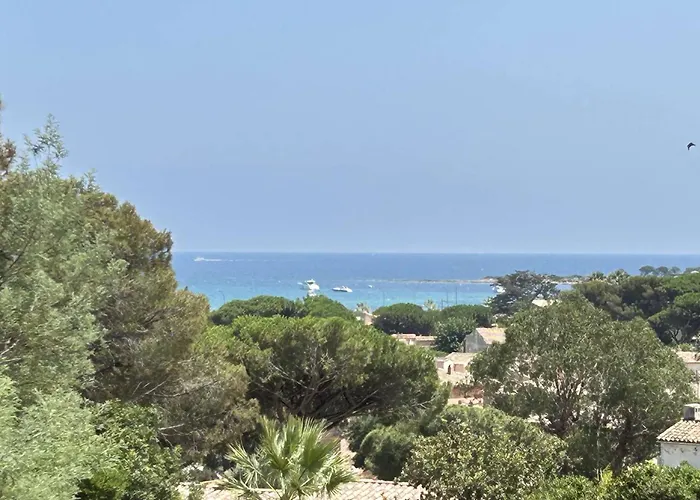 Mediterraneenne Proche Et Centre A - Fr-1-226-562 * سانت ماكسيم